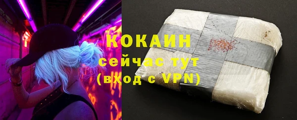 спиды Алзамай