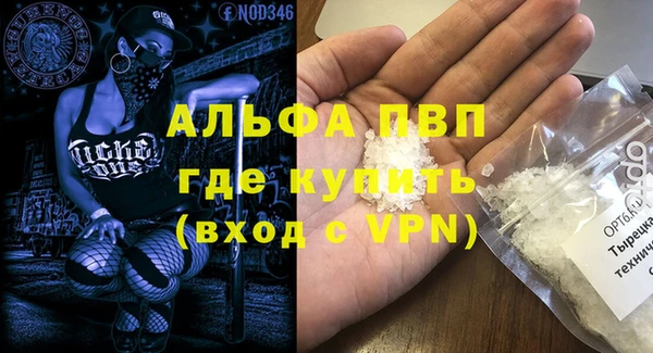 спиды Алзамай