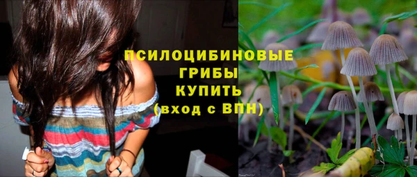 спиды Алзамай