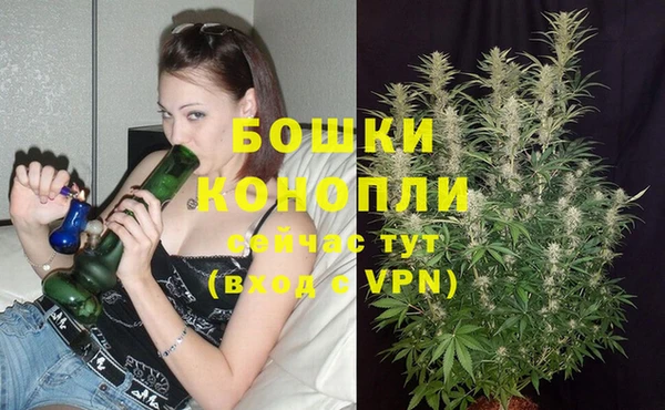 apvp Пестово