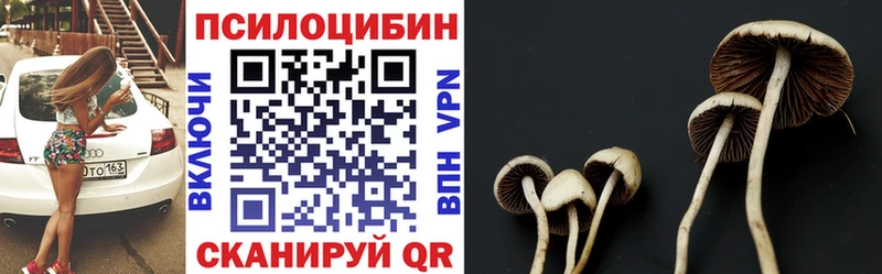Псилоцибиновые грибы мицелий  как найти закладки  OMG ссылки  Судогда 